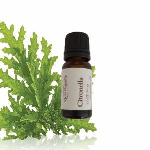 Essential Oil Citronella 12ml