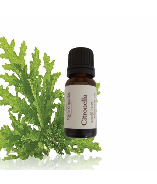 Essential Oil Citronella 12ml