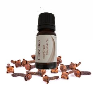 Essential Oil Clove Bud 12ml