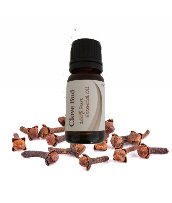 Essential Oil Clove Bud 12ml