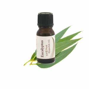 Essential Oil Eucalyptus Oil 12ml