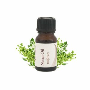 Essential Oil Neem Seed 12ml