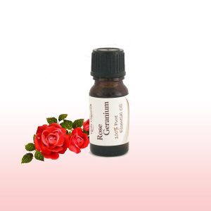 Essential Oil Rose Geranium 12ml