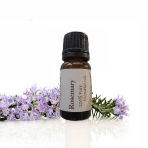 Essential Oil Rosemary 12ml