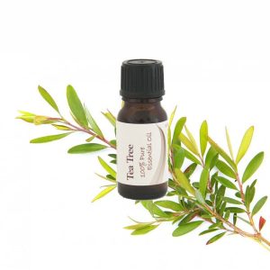 Essential Oil Tea Tree 12ml